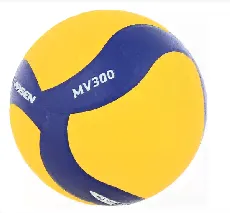 Мяч волейбольный Larsen MV300 359864