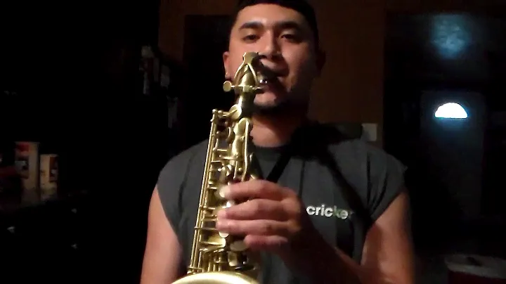 Berg Larsen Sax Revista: 100/0 sms Vs. 110/2 sms